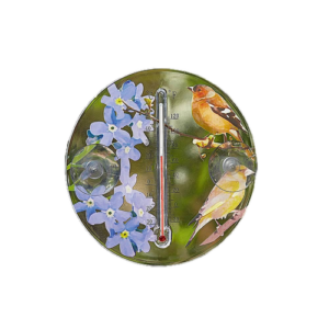Suction mounted outdoor thermometer UK