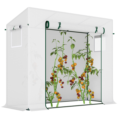 Walk-in garden greenhouse with shelves